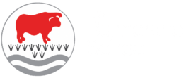 The Bulmershe School